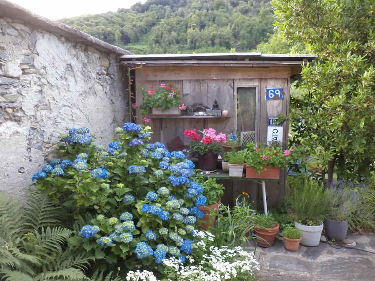 B&B Casa Codega Intragna Extérieur photo